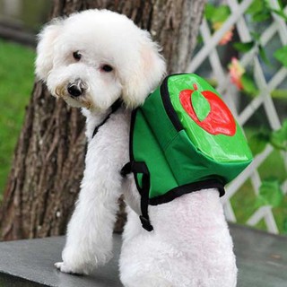 Ba lô mini đeo lưng cho chó mèo