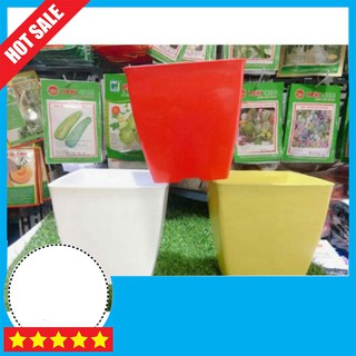 Đổ buôn chậu vuông 16cm giá siêu rẻ bao đẹp