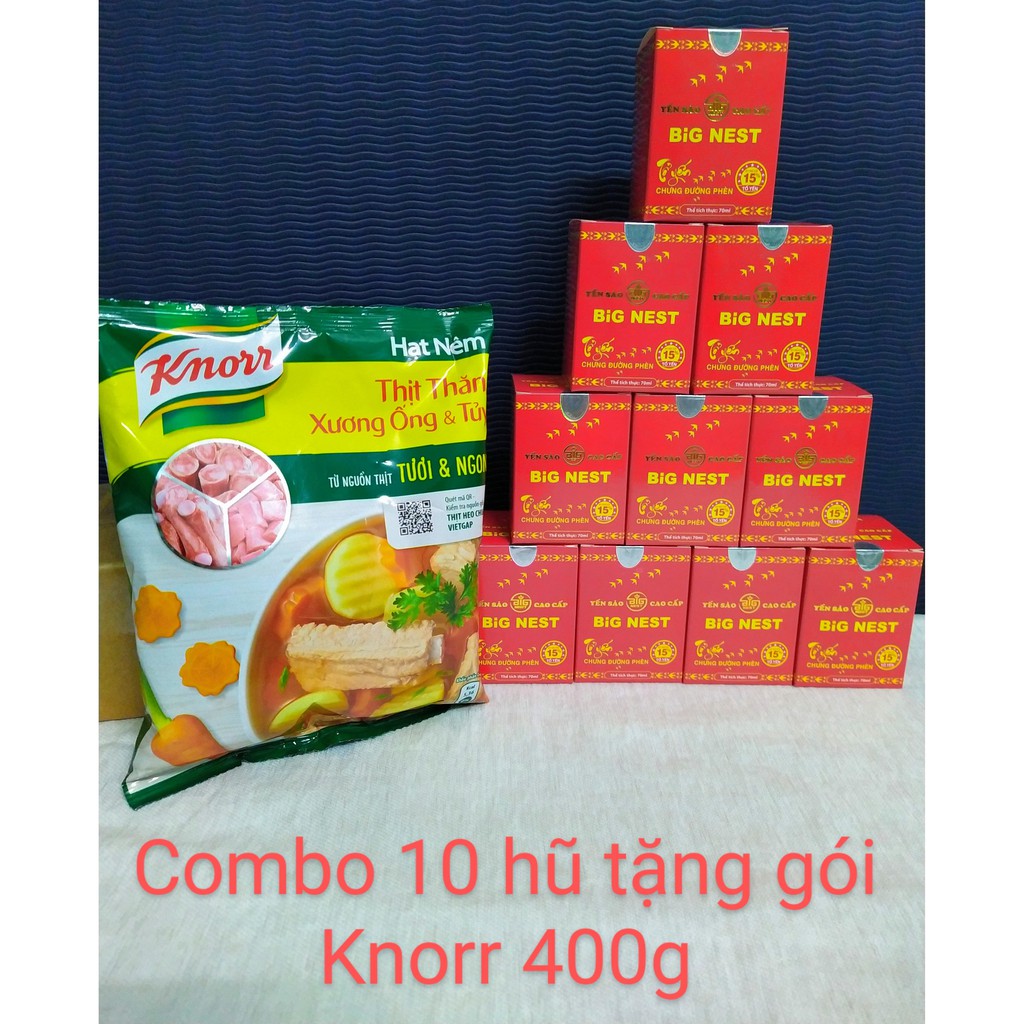(TẶNG GÓI HẠT NÊM 400G) Combo 10 hũ yến chưng đường phèn Bignest 700ml 15% tổ yến