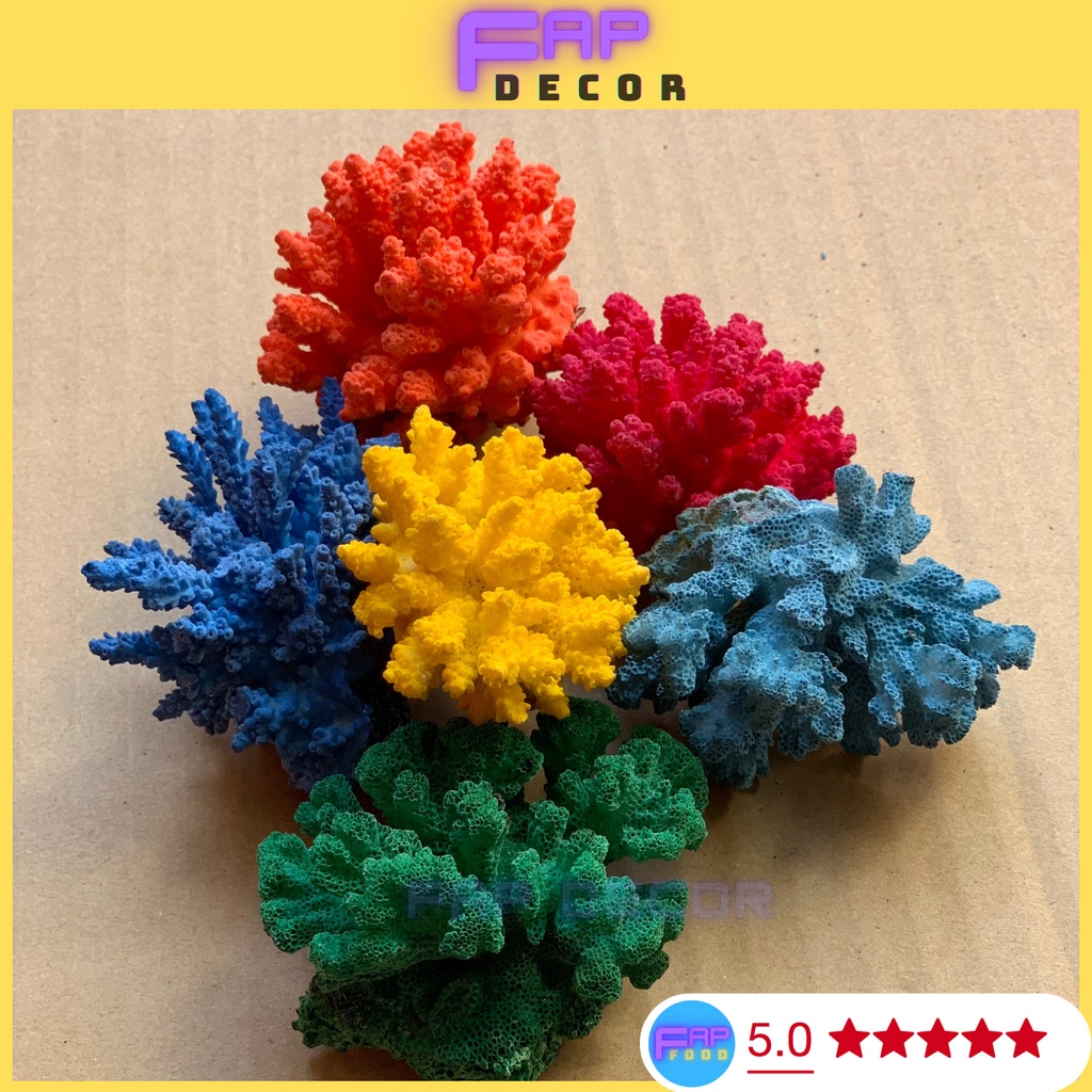 BÔNG RẠN SAN HÔ MINI PHONG THỦY PHỐI MÀU DECOR NHÀ CỬA, SAN HÔ NHIỀU MÀU TRANG TRÍ THỦY SINH