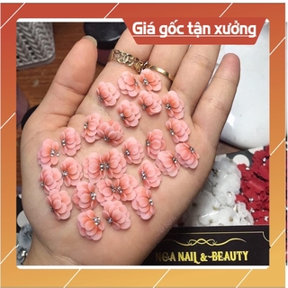 Cúc tầng (hoa bột đẹp ) CƯỜNG SHOP SHOP CƯỜNG