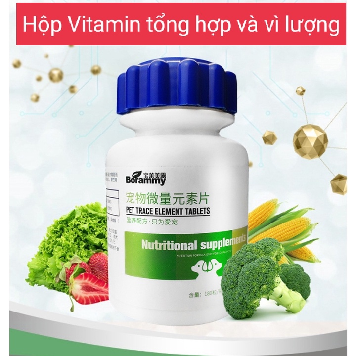 Bộ 4 hộp Vitamin tổng hợp, Canxi, Men tiêu hóa và Dưỡng Lông Chính Hãng Borammy