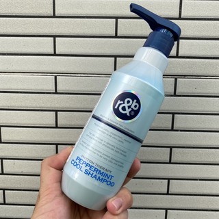 Dầu Gội Thảo Dược Mát Lạnh Bạc Hà R&B Peppermint Cool trị gàu và massage da đầu 450ml