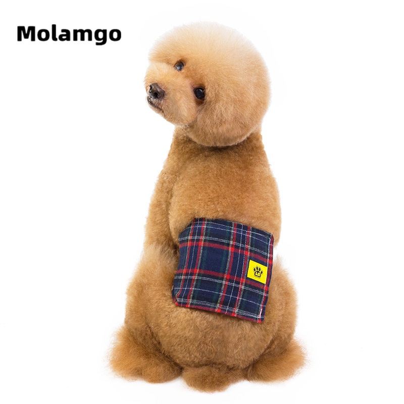 Quần lót sinh lý chống rối cho thú cưng