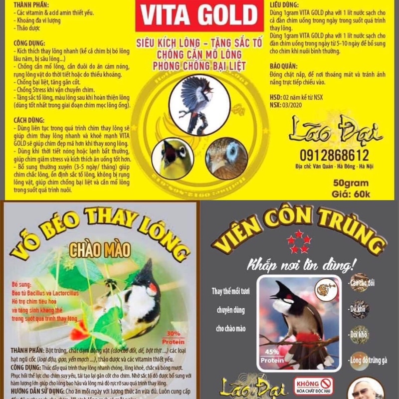 Cám vỗ béo thay lông chào mào-lão đại