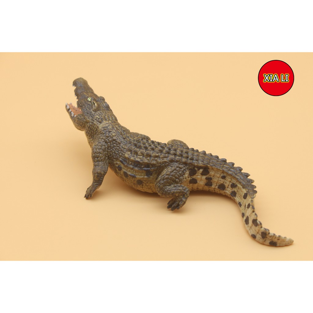 Mô Hình Đồ Chơi Động Vật Hoang Dã Cho Trẻ Em