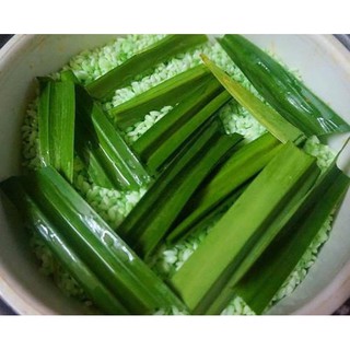 BỘT LÁ DỨA (LÁ NẾP) LENTECH 100g
