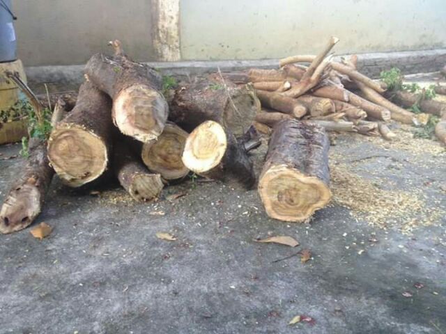 Chuỗi vòng 108 hạt dâu tằm