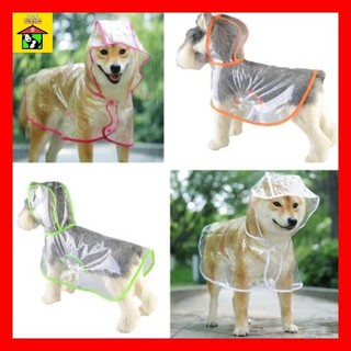 🌈 Áo Mưa Chó Mèo Thú Cưng Trong Suốt Thời Trang