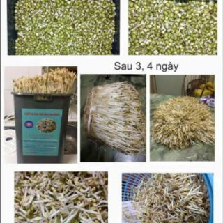Máy làm giá sạch