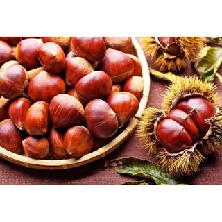 Hạt dẻ đỏ hấp Nhật Bản 260gr