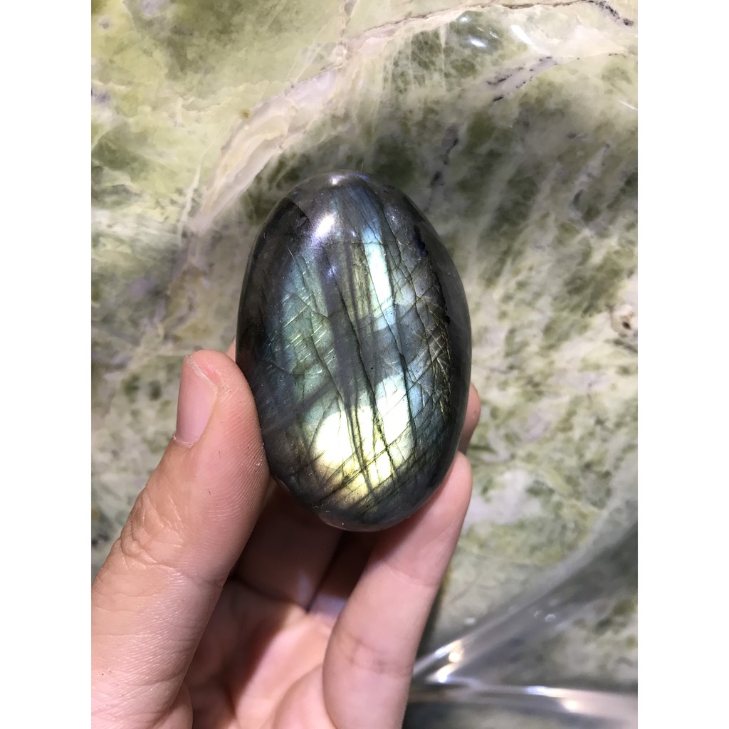 Đá xà cư tư nhiên, Palm Xa cư, kích thước trung bình 5 x 3,5 cm | BigBuy360 - bigbuy360.vn