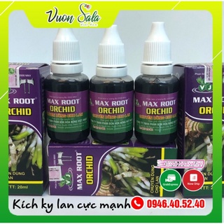 Kích ky lan, kích rễ lan cực mạnh