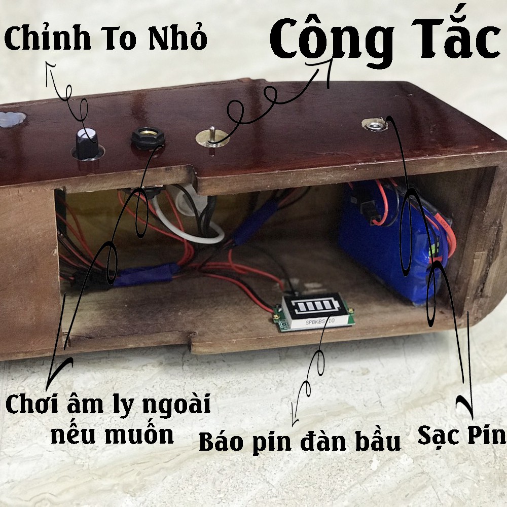 Đàn bầu gỗ thường Lm149 không khảm lắp máy (âm li) bên trong (có pin) chơi hay