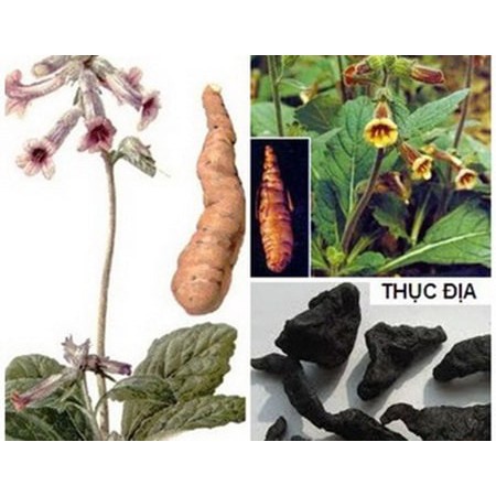 500g/1Kg THỤC ĐỊA LOẠI 1 - THƠM NGON