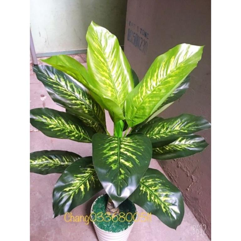 Cây Ngân Hà giả 1 thân 1,2m