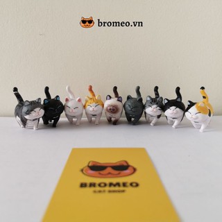Bộ mô hình mèo 9 con