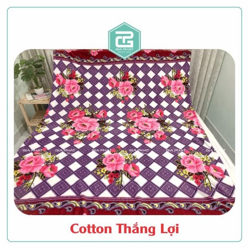 Mền tuyết nhung, chăn lông tuyết siêu mềm mịn đủ màu kích thước 1m6 x 2m