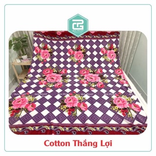 Mền Tuyết Nhung cao cấp 1m6 x 2m