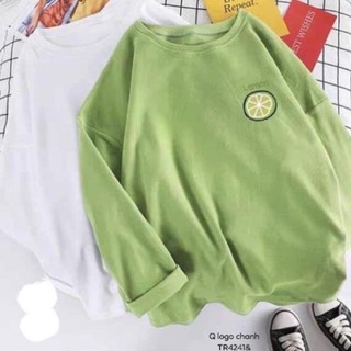 CHUYÊN SỈ Áo logo quả chanh Lemon DGR654 MK