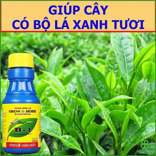 Phân Bón lá vitamin B1 Growmore, phân bón nhập khẩu kích rễ, giúp cây đâm chồi, dưỡng rễ Vuonbabylon - Chai 100ml