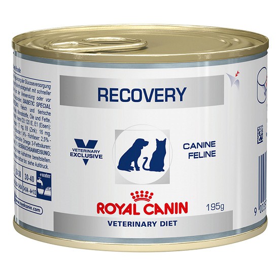 PATE ROYAL CANIN RECOVERY 195GR