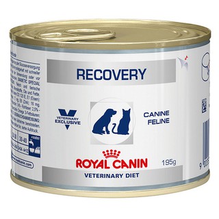 Pate royal canin recovery 195gr