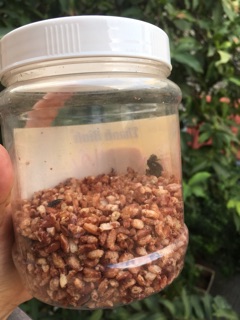 Gạo Lứt Sấy Giòn