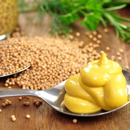 [10g-50g] Hạt mù tạt vàng Ấn Độ (Yellow Mustard seed) làm nước chấm, nước sốt trộn salad