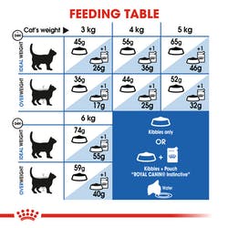 Thức Ăn Cho Mèo Cao Cấp Royal Canin Indoor 27 Cho Mèo Nuôi Trong Nhà Gói 400G - Miki Petshop