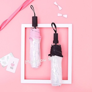 Ô (dù) trong suốt gấp gọn