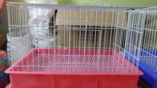Lồng nuôi vẹt non size to