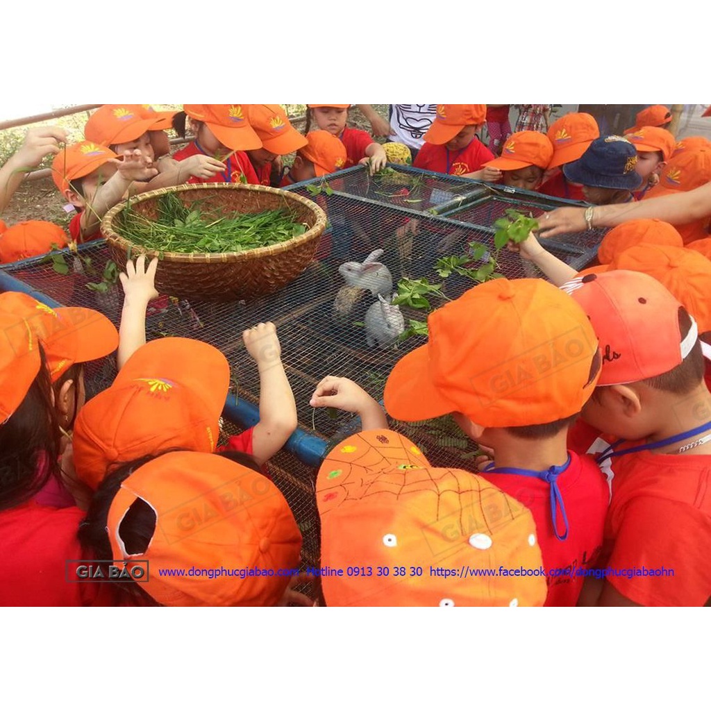 Mũ Sự Kiện, In logo Công Ty theo yêu cầu. Nón Sự Kiện, In logo Công Ty theo yêu cầu