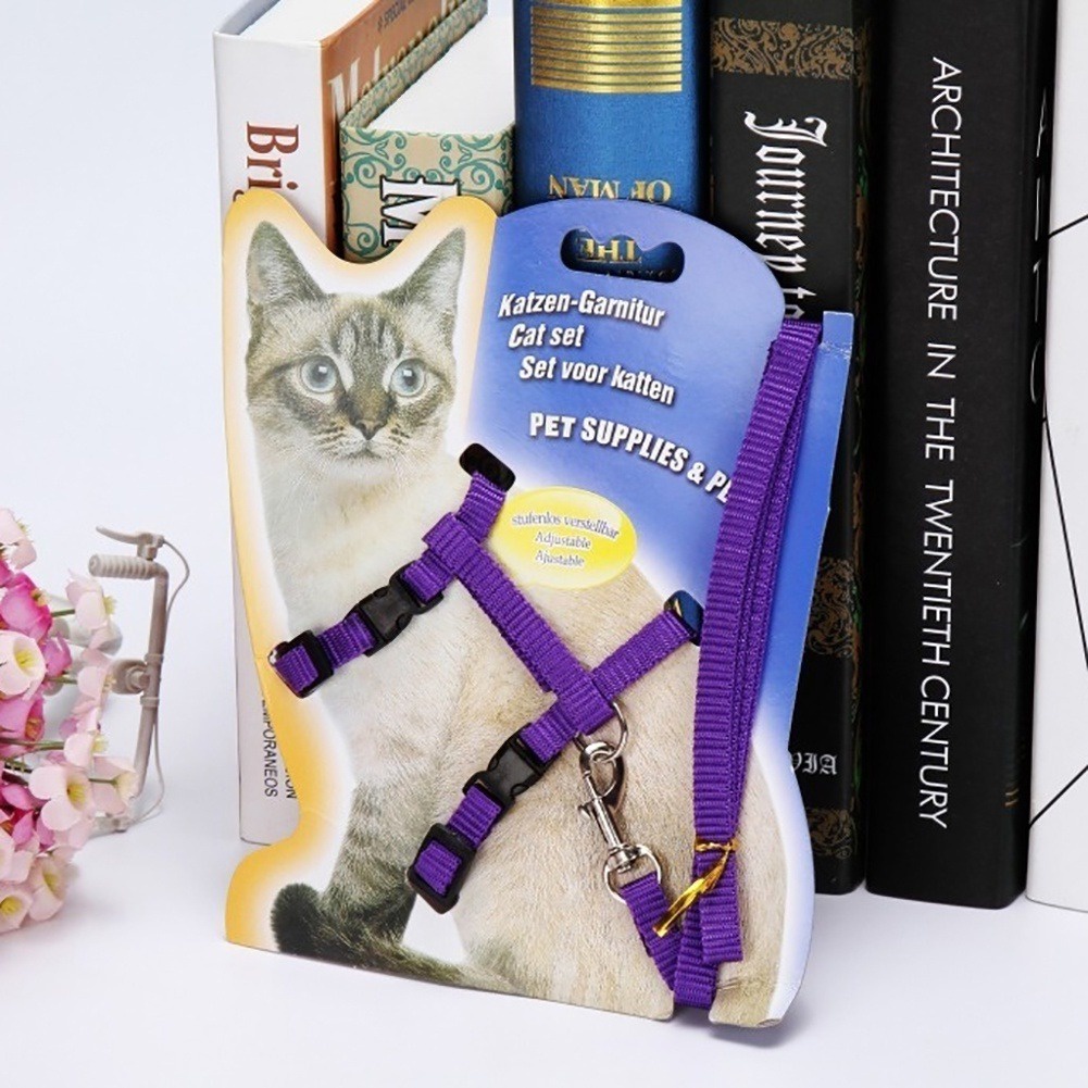 Dây Đeo An Toàn Cho Thú Cưng