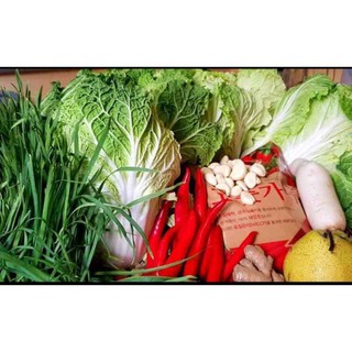 500gr Ớt Bột Haecham (dạng vảy) Dùng Làm Kim Chi Hàn Quốc.