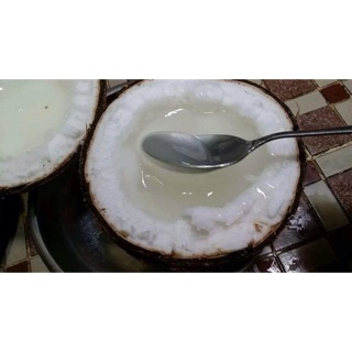 Dừa sáp