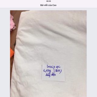 Vải cotton lụa 100k