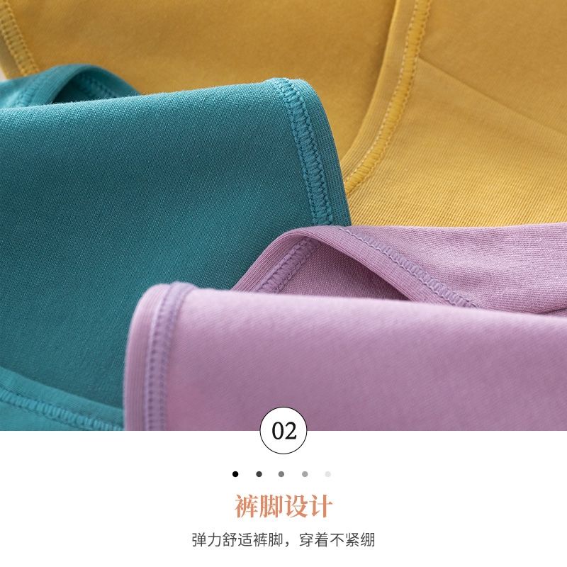 Quần Lót Nữ Coton Cạp Su Phối Chữ Inter Kháng Khuẩn Tông Màu Cá Tính mã QL58