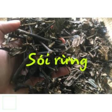 500gr cây sói rừng khô hàng chuẩn xịn, thơm ngon