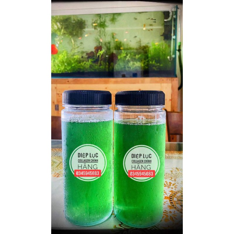 [Kho sỉ]  CHAI NHỰA 500ML KÈM NẮP ĐEN TIỆN LỢI