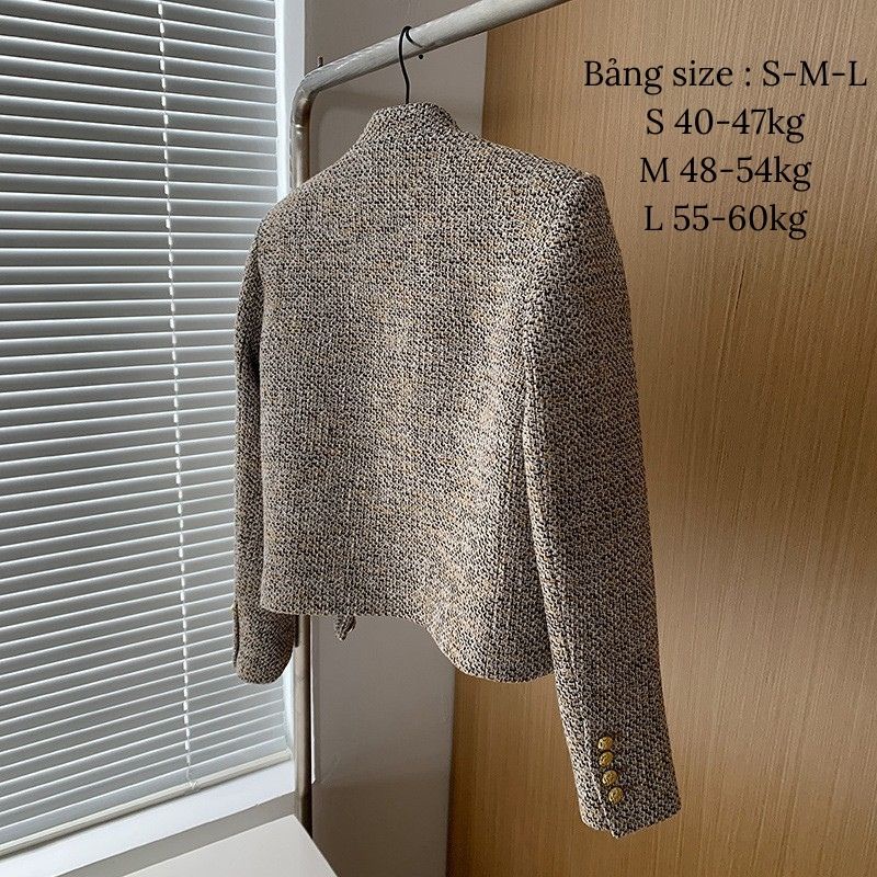 Áo vest nữ dạ áo blazer dạ 2 lớp cúc đồng dài tay cổ tròn cách điệu siêu xinh fizano