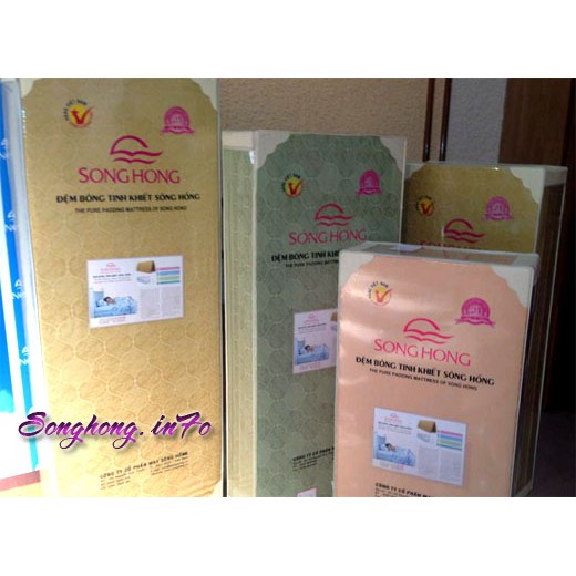 combo 4 Đệm Bông Ép Sông Hồng
