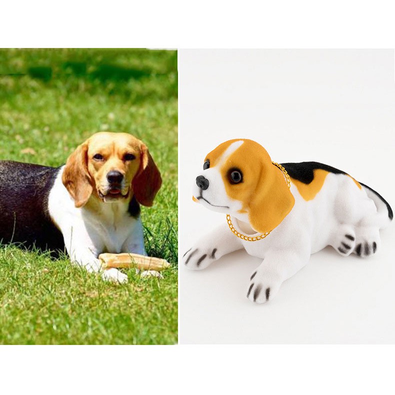 Chó lắc lư trên xe hơi - chó Beagle có ảnh thật