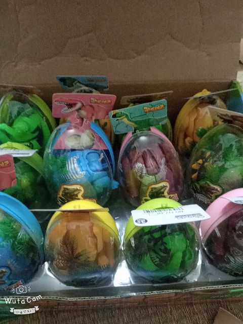 TRỨNG CÁC LOÀI ĐỘNG VẬT HOANG DÃ