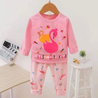 BỘ COTTON QC CAO CẤP