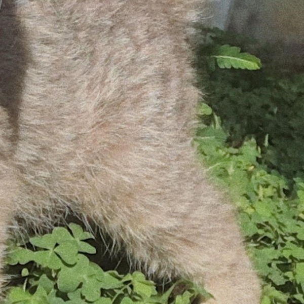 _r.ut_, Cửa hàng trực tuyến | BigBuy360 - bigbuy360.vn