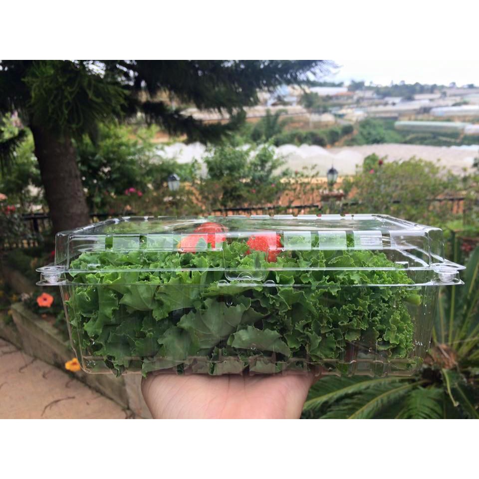 330 Hộp nhựa đựng trái cây 1kg P1000A giá 2550d