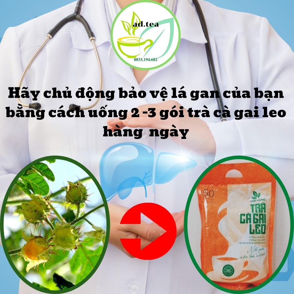 Trà Cà Gai Leo THÁI HƯNG Bịch 50 Túi Lọc 250g Thanh Nhiệt Giải Độc Mát Gan 100% Tự Nhiên/ ad.tea