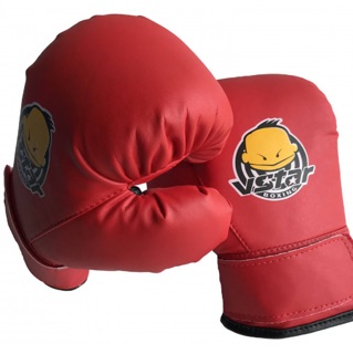 Găng tay boxing võ thuật