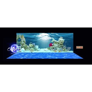 Tranh 3d dán bể cá thủy sinh, bể cá rồng